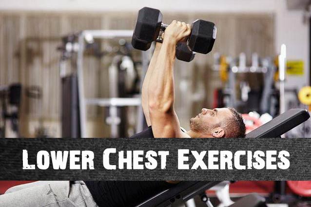lower chest exercises